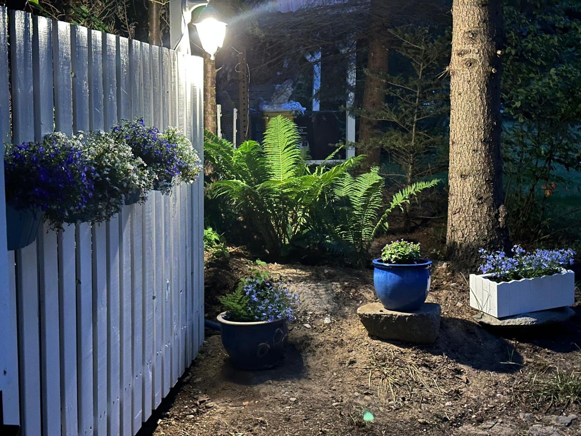 Apartamento Kwiat Paproci Ryn  Exterior foto